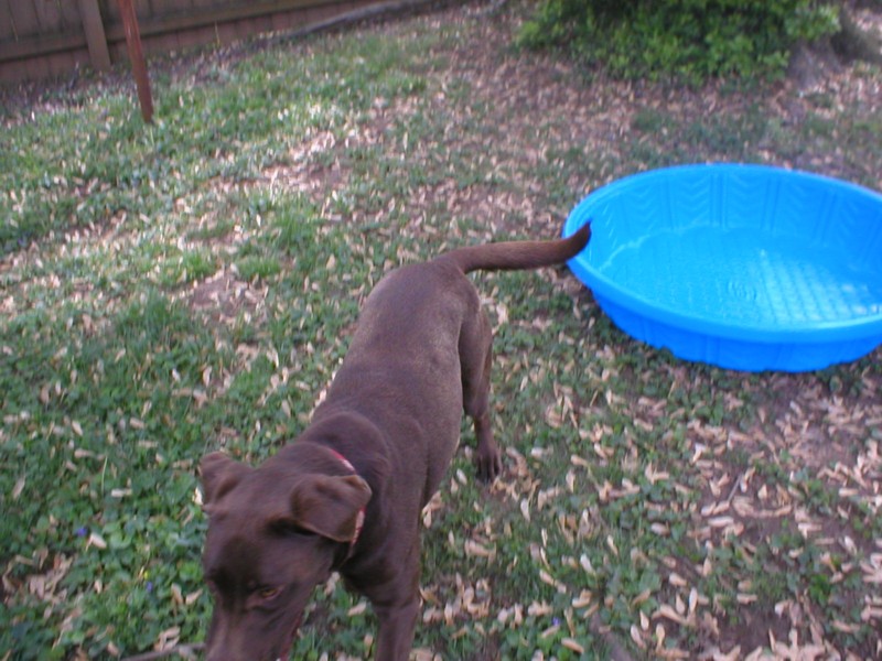 Katie next to pool.JPG